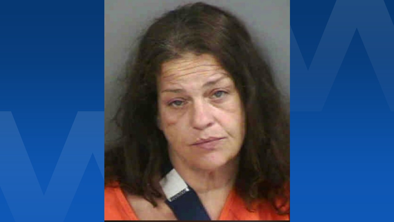 Collier County woman accused of intentionally setting house on fire ...