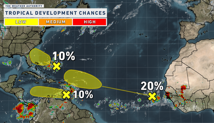 tropical wave