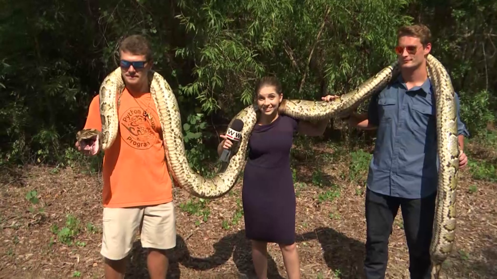 longest python
