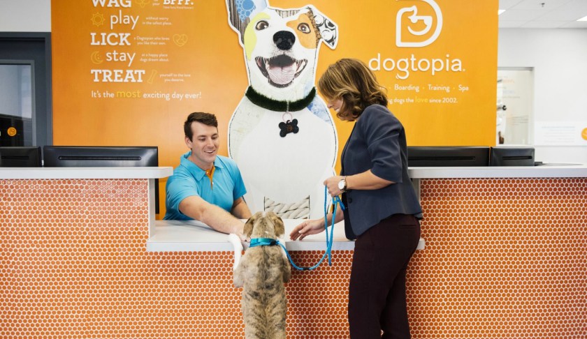 Dogtopia boarding outlet