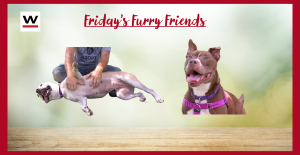 Fridays furry friends