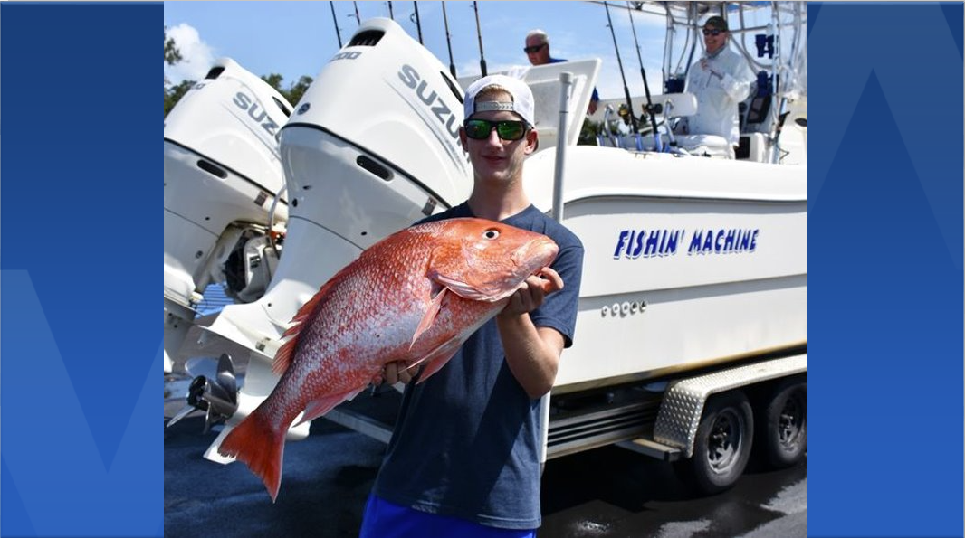 New Issues Facing Gulf Red Snapper - ASA