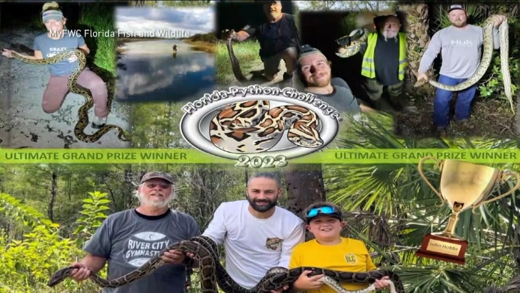 florida python challenge