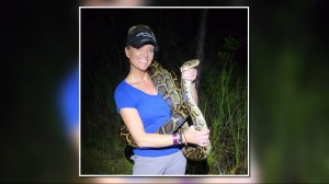 florida python challenge