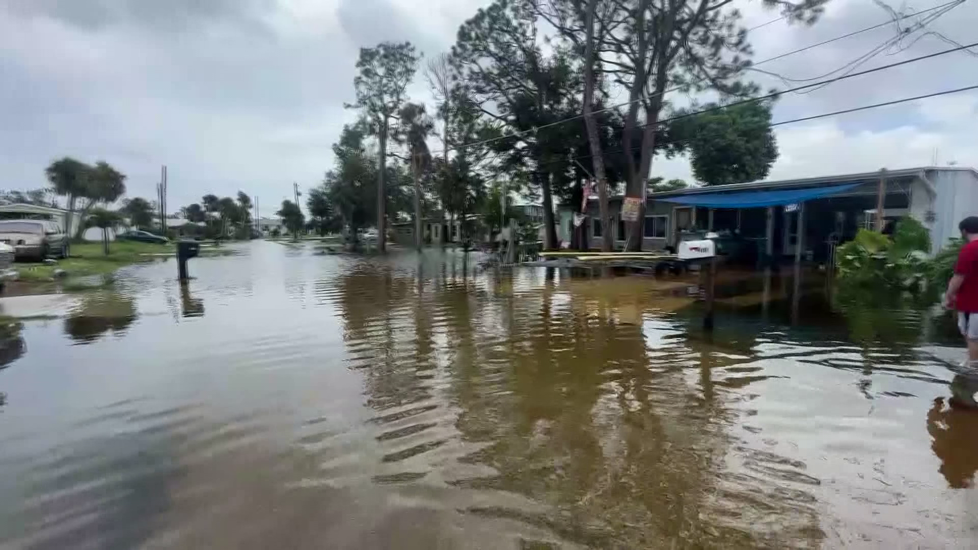 Port Charlotte continues Hurricane Idalia recovery