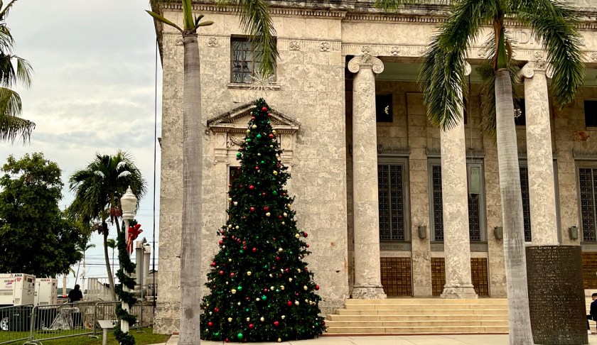 Christmas Tree Lighting