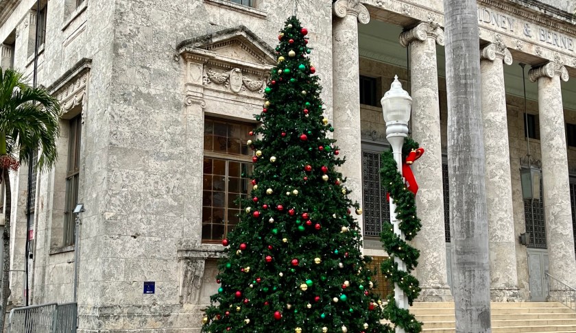 Christmas Tree Lighting