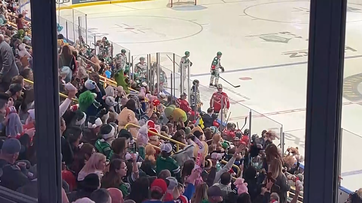 Annual Teddy Bear Toss at Florida Everblades game