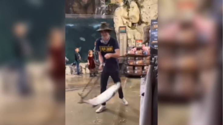 Suspect steals fish from Bass Pro Shops