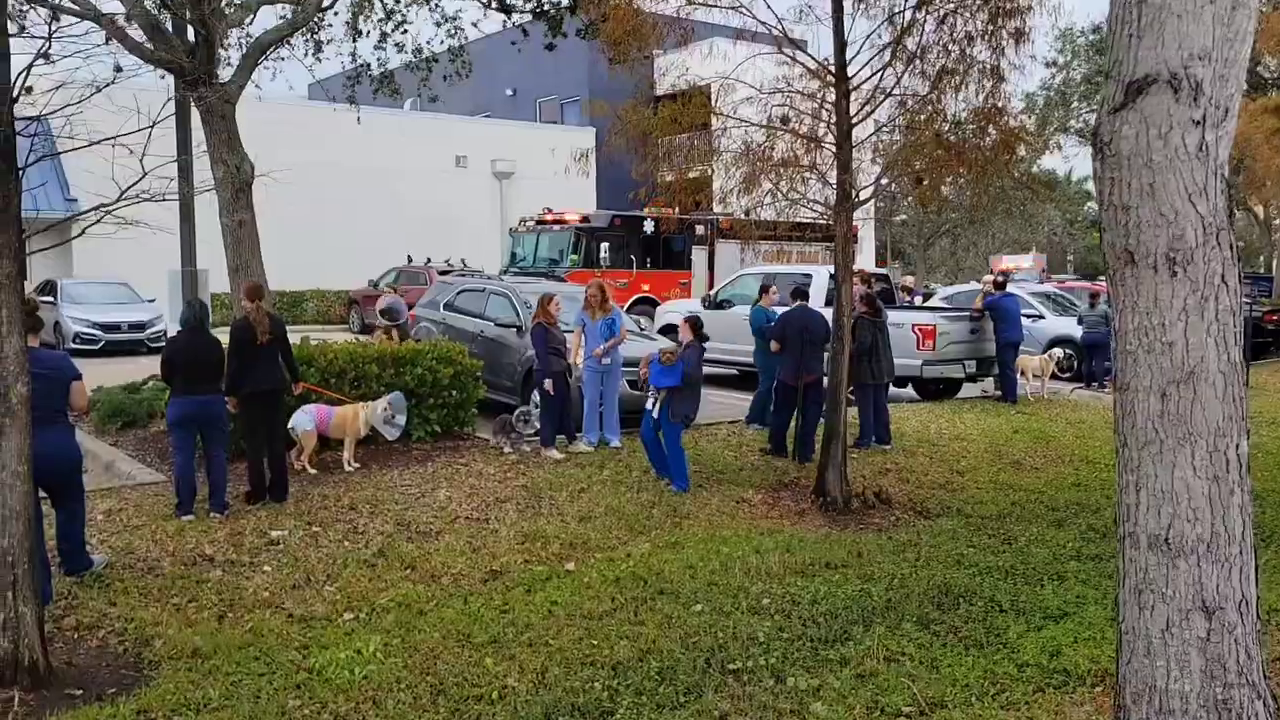 Fire At Blue Pearl Pet Hospital In Fort Myers