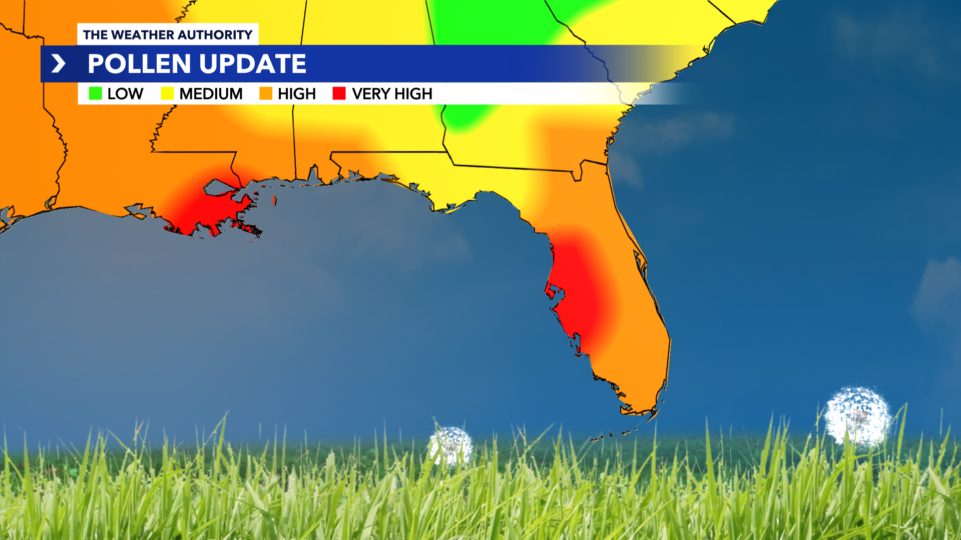 Ahchoo! High pollen levels are peaking across Southwest Florida WINK News