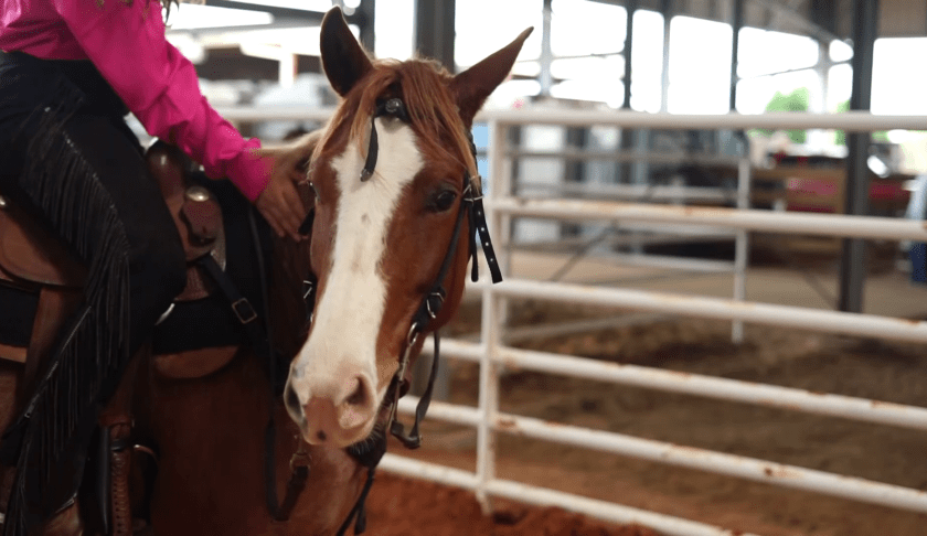 Arcadia rodeo