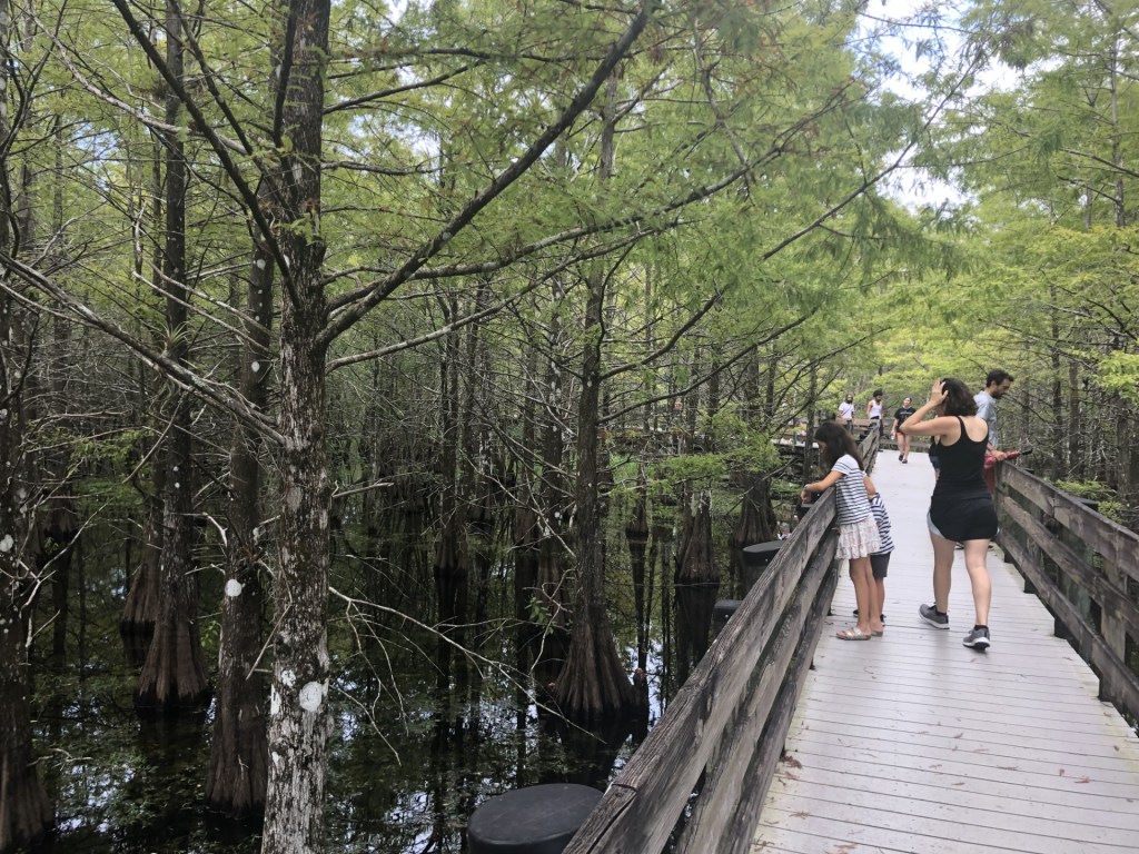 People on the boardwalk of the Six Mile Cypress Slough. CREDIT: WINK News.