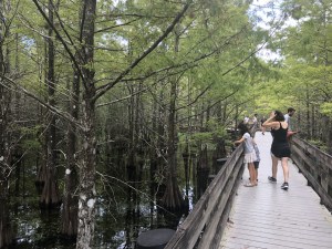 Visitors on the boardwalk at Six Mile Cypress Slough Preserve.