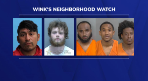 WINK Neighborhood Watch