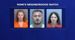 WINK Neighborhood Watch Saunders, Bejaran, Hartman