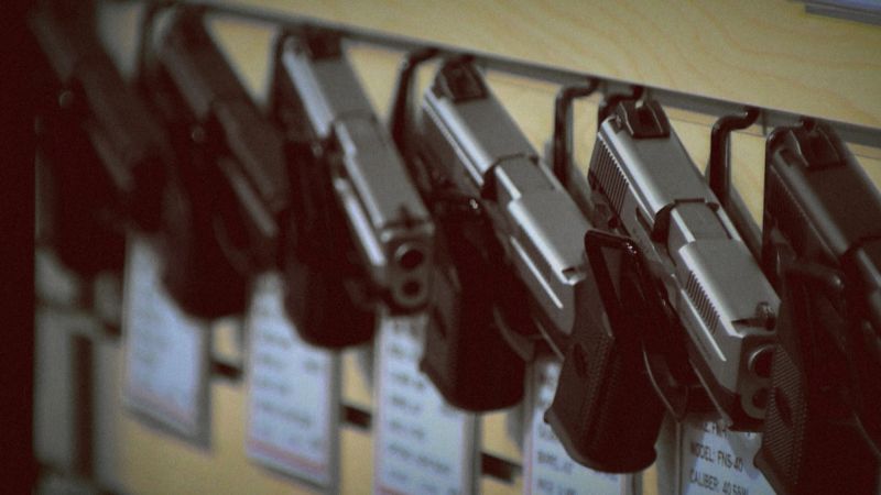 gun database mental health