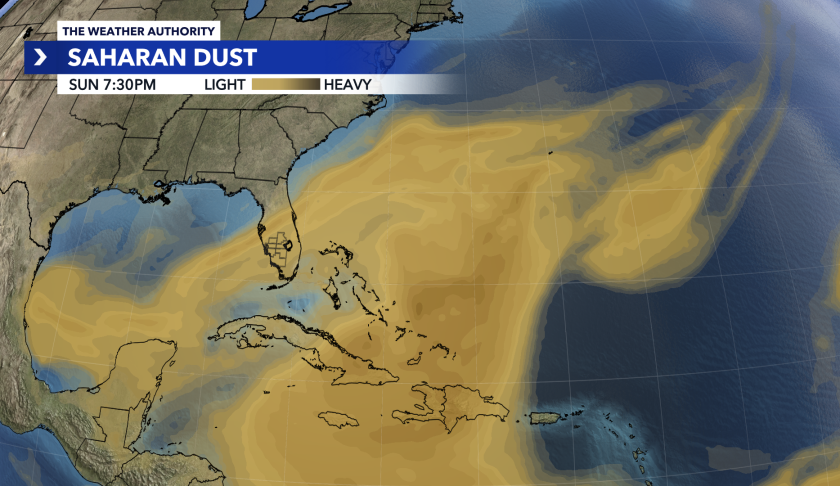 Dirty Rain in Florida Due to Saharan Dust: Everything We Know About It
