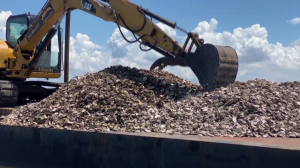 Recycling oysters to improve the environment