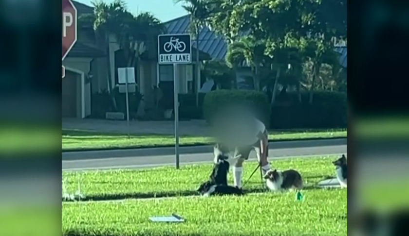 A man was caught on camera roughing up his dogs during a walk in Cape Coral.