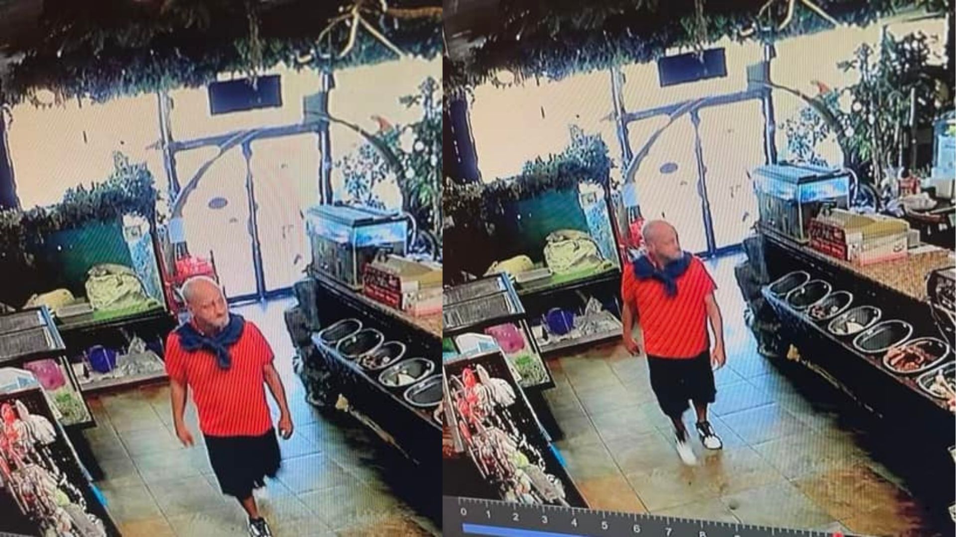 FMPD searching for pet store puppy thief