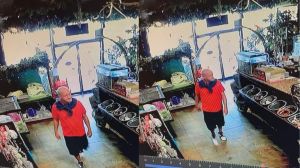 FMPD seeking public assistance in identifying a male wanted for the theft of a puppy. CREDIT: Fort Myers Police Department