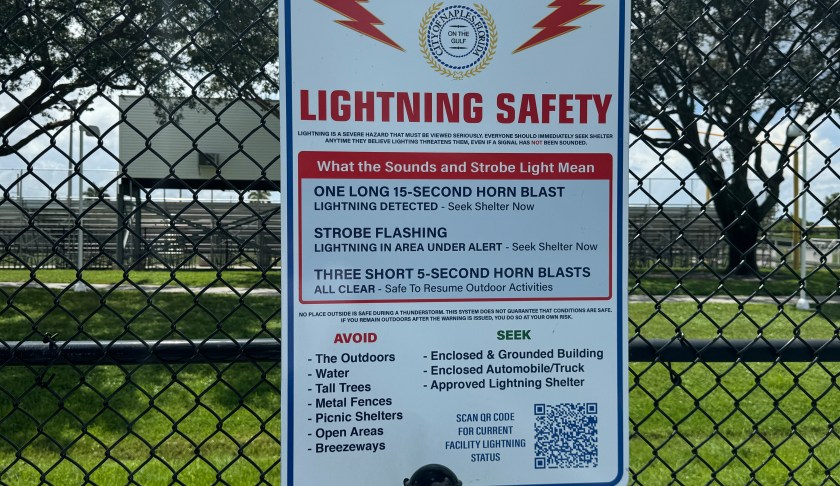 lightning detection system