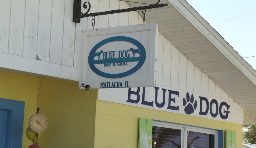 The Blue Dog Bar and Grill reopens on Matlacha