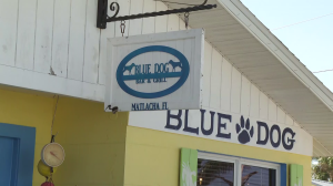 The Blue Dog Bar and Grill reopens on Matlacha