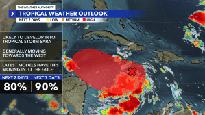 Invest 99-L