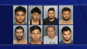 Eight people arrested in Charlotte County