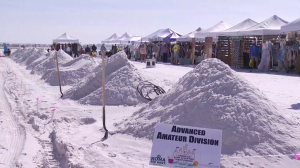 American Sand Sculpting Competition returns to Fort Myers Beach