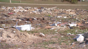 Cape Coral Debris