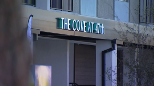 Cove 47