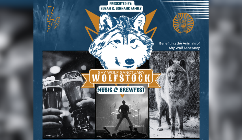 Shy Wolf Sanctuary to host 'Wolfstock' Music festival