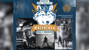 Shy Wolf Sanctuary to host 'Wolfstock' Music festival