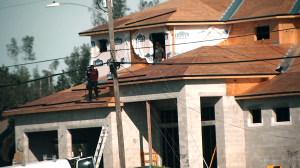 shingled roofs