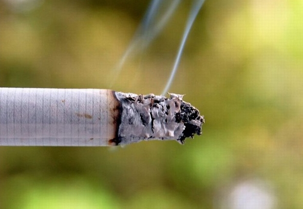 Biden Administration Announces It Intends To Ban Menthol Cigarettes And ...