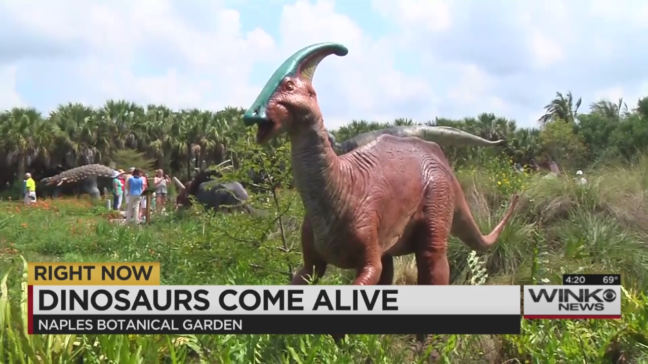real dinosaurs found alive