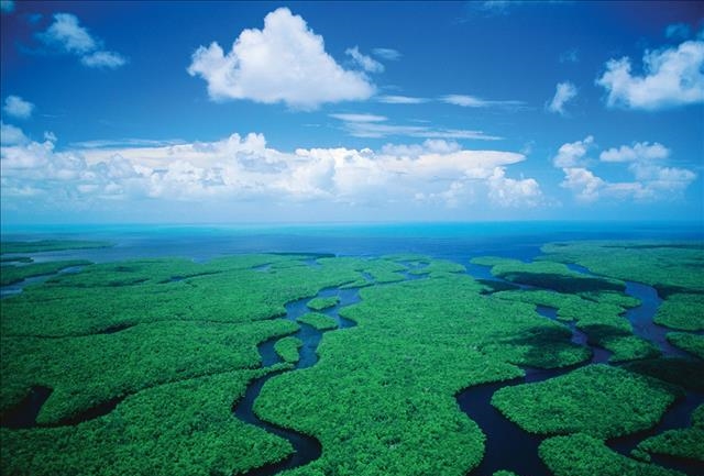Ariel photo of Florida Everglades National Park via WINK News