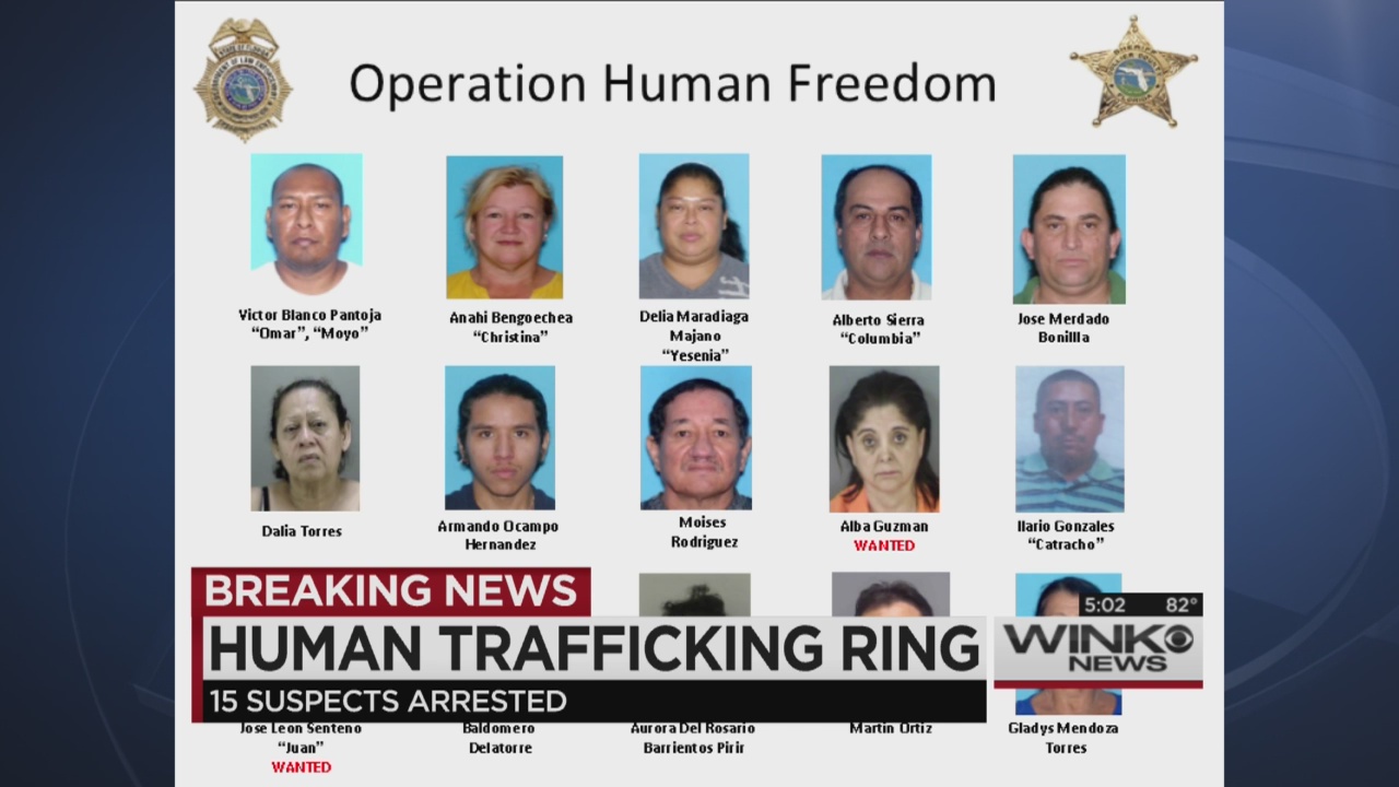 Fdle Operation Nets 15 Arrests For Human Trafficking Wink News